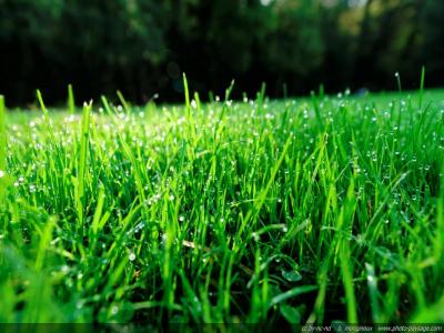 photo For sale Land WITTENHEIM 68
