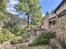Acheter Prestige Sari-solenzara Corse