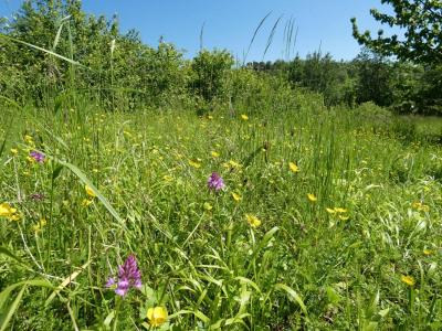 For sale Land PUYLAROQUE  82