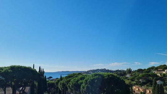 Vente Appartement 2 pièces SAINTE-MAXIME 83120