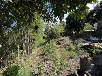Vente Terrain RIVIERE-SAINT-LOUIS 97421