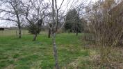 Acheter Maison Chanceaux-pres-loches 249500 euros