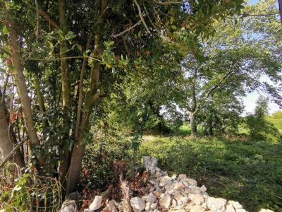For sale Land AIGREFEUILLE-D'AUNIS  17