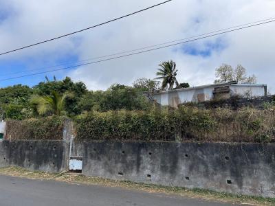 photo For sale Land SALINE 974