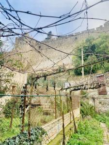 For sale House CARCASSONNE
