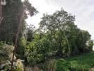 Annonce Vente Terrain Aigrefeuille-d'aunis