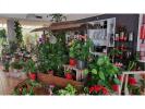 Annonce Vente Commerce Montrond-les-bains