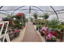 Acheter Commerce 210 m2 Montrond-les-bains