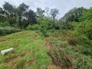 Land BORDES 