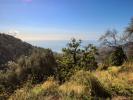 Vente Terrain Menton 06