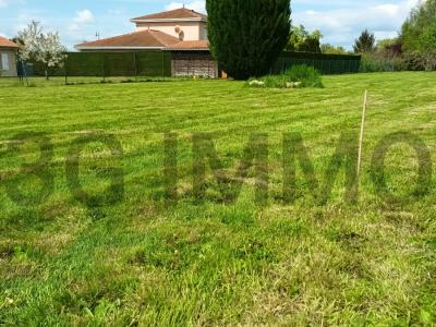 Vente Terrain CHATILLON-LA-PALUD  01