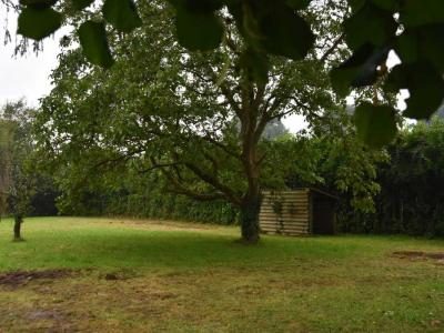 photo For sale Land MAREIL-EN-CHAMPAGNE 72