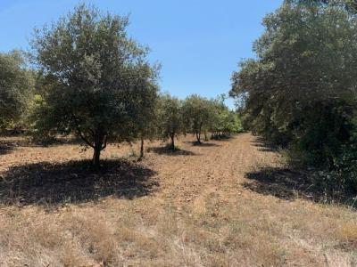 photo For sale Land GRIGNAN 26
