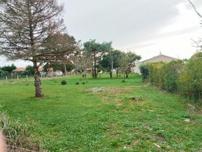 Vente Terrain BERNERIE-EN-RETZ  44