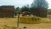 Acheter Terrain Beziers Herault