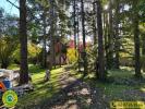Acheter Prestige Guerche-sur-l'aubois 249100 euros
