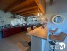 House NIORT 