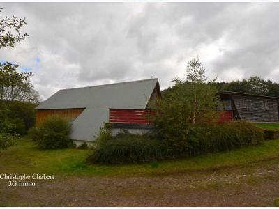 photo For sale Commercial office SAINT-SAUVES-D'AUVERGNE 63