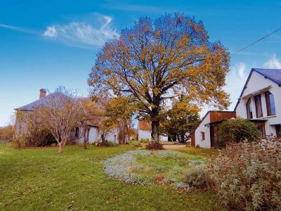 photo For sale House ROCHE-POSAY 86