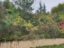 Annonce Vente 6 pièces Maison Saillans