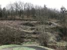 Annonce Vente Terrain Courzieu