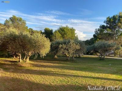 For sale House CHEVAL-BLANC  84