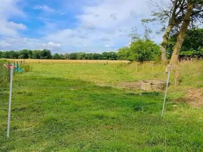 For sale House BOLLEVILLE 