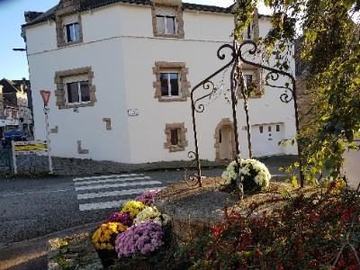 photo For sale House BAUD 56