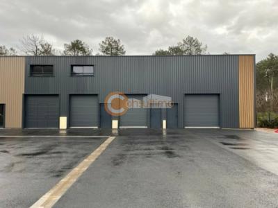 photo For rent Commerce AUDENGE 33