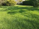 Acheter Terrain 515 m2 Bures-sur-yvette