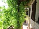 Annonce Vente 6 pièces Maison Tournus