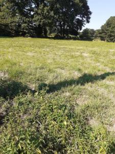 Vente Terrain MEZIERES-SUR-COUESNON  35