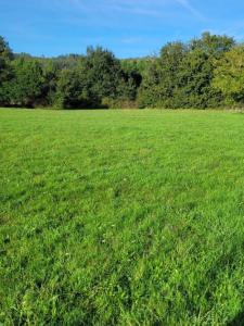photo For sale Land COURPIERE 63