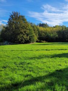 photo For sale Land COURPIERE 63
