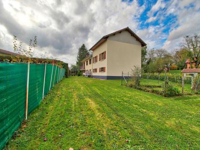 Vente Maison 10 pièces ATHOSE 25580