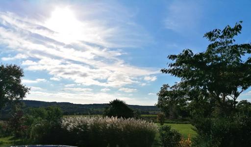 photo For sale Land PLOERMEL 56