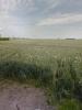 Vente Terrain Saint-etienne-sur-suippe 51
