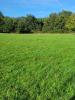For sale Land Courpiere  63120 5779 m2