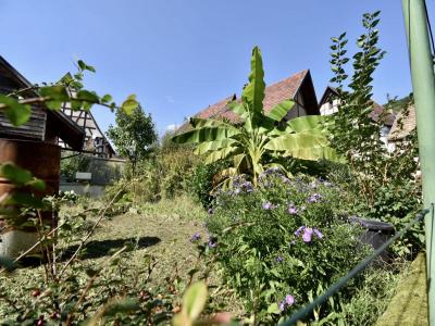 Vente Maison ANDLAU 