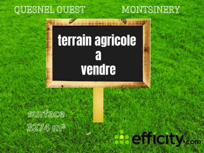 Vente Terrain MONTSINERY-TONNEGRANDE 97300