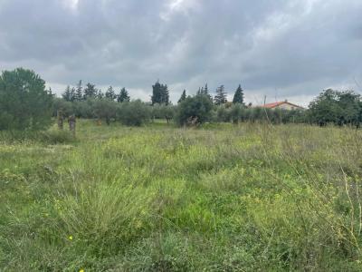 photo For sale Land BEAUCAIRE 30