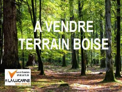 photo For sale Land PEAULE 56