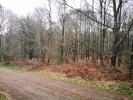Land PEAULE 