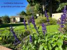 House NOAILLES 