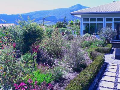 For sale House PLAINE-DES-PALMISTES 