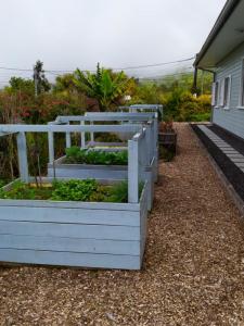 Vente Maison PLAINE-DES-PALMISTES 