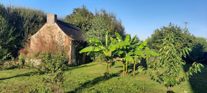 photo For sale House COMBREE 49