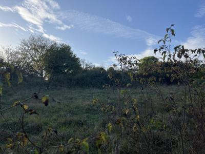 photo For sale Land COULOUNIEIX-CHAMIERS 24
