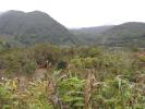 For sale Land Plaine-des-palmistes 97431 4537 m2