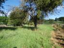 Acheter Terrain 1496 m2 Recologne-les-rioz